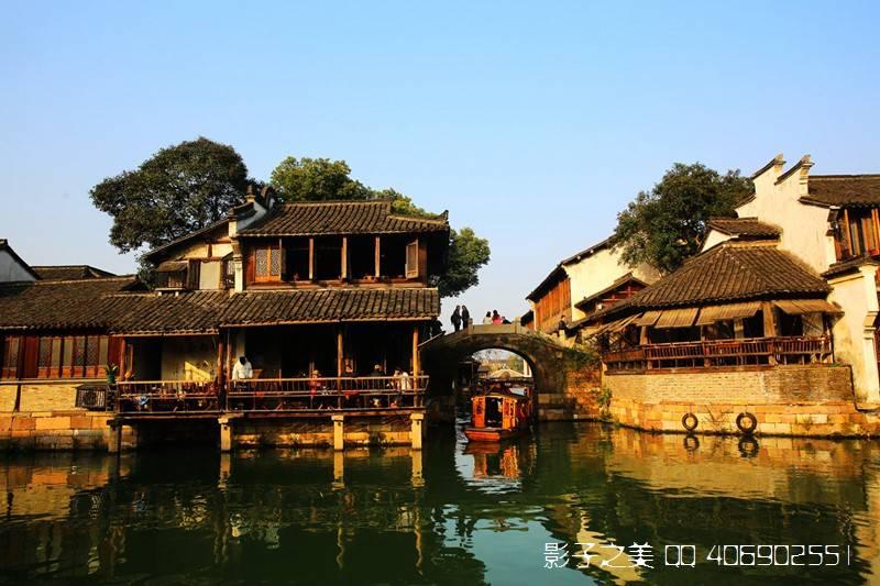 解救金刚鹦鹉